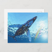 Crystal Whale Art Postkarte (Vorne/Hinten)