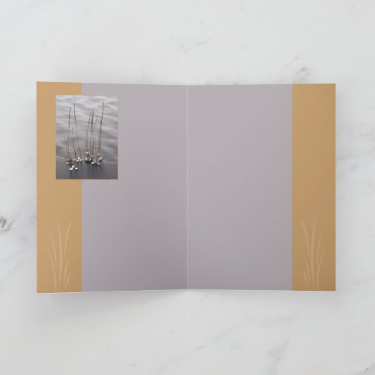 Crystaline Rand Karte (Innenseite)