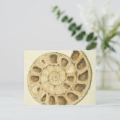 Crystalized Seashell Mineralogie Illustration Postkarte (Stehend Vorderseite)