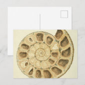 Crystalized Seashell Mineralogie Illustration Postkarte (Vorne/Hinten)
