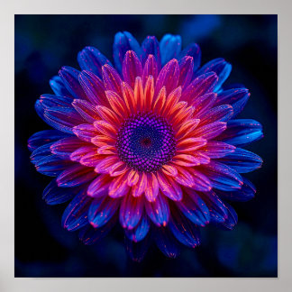 Crystalline Cascade Poster