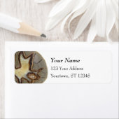 Crystallized Rock Abstract Design (Insitu)