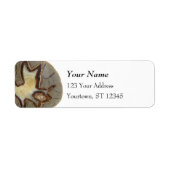 Crystallized Rock Abstract Design (Vorne)