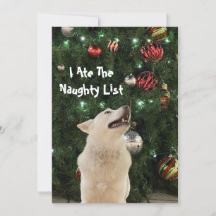 Crystal's Naughty List - Husky Dog Christmas Flat Feiertagskarte