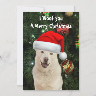Crystal's The Husky Dog Christmas Flat Card Feiertagskarte