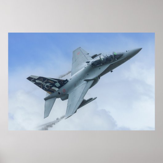 CSX7352 F-2000A 36 Stormo's Centenary Tribute Poster (Vorne)