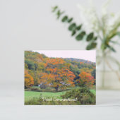 CT besuchen Postkarte (Stehend Vorderseite)