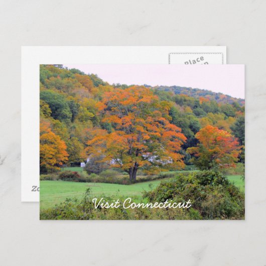 CT besuchen Postkarte (Vorne/Hinten)