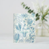 Ctenophorae Postkarte (Stehend Vorderseite)