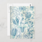 Ctenophorae Postkarte (Vorne/Hinten)