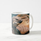 Ctenosaura melanosterna kaffeetasse (VorderseiteRechts)