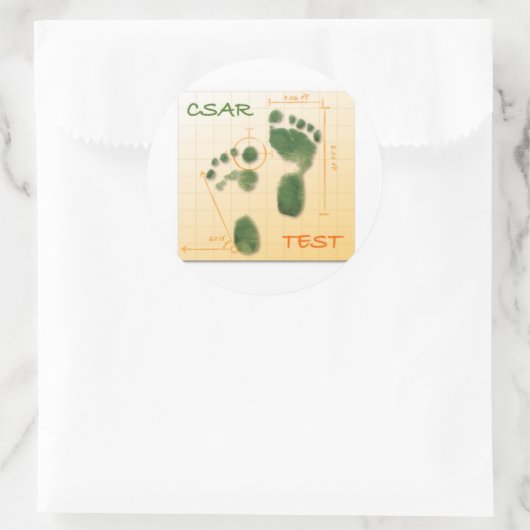 CTF FTE RUNDER AUFKLEBER (Tasche)