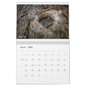 CTfotomagik 2020 Wandkalender (Mär 2026)