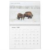 CTfotomagik 2020 Wandkalender (Jan 2027)