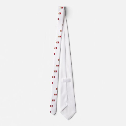 CTR PERUS AREQUIPA AUFTRAG-LDS KRAWATTE (Rückseite)