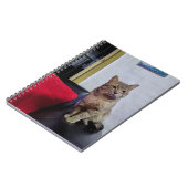 Cuaderno de fotos 16,5 x 22 cm; 80 paginas notizblock (Linke Seite)