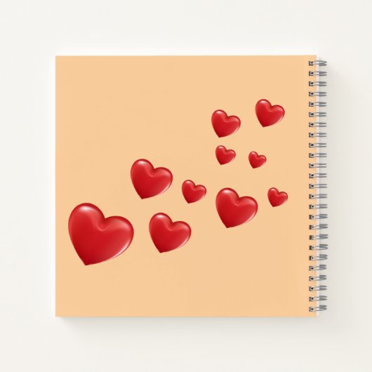 Cuaderno de gratitud notizblock (Rückseite)