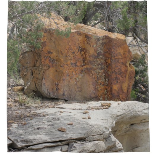 Cuba Mesa Duschvorhang (Vorderseite)