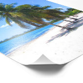 Cuban Palm Trees Fotodruck (Ecke)