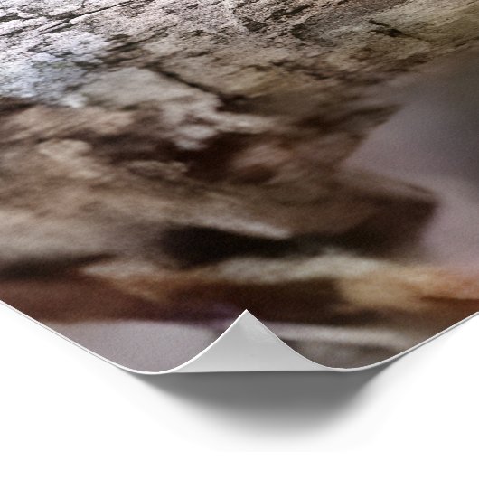 Cuban tody  poster (Ecke)