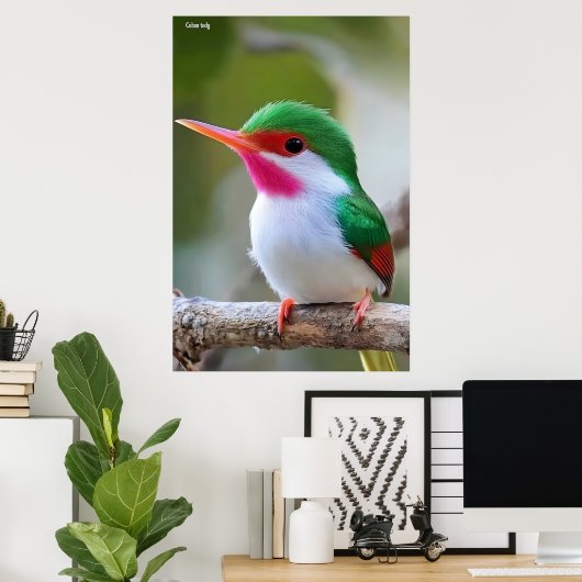 Cuban tody  poster (Heimbüro)