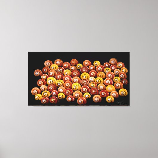 Cuban Tree Snails Leinwanddruck (Vorderseite)