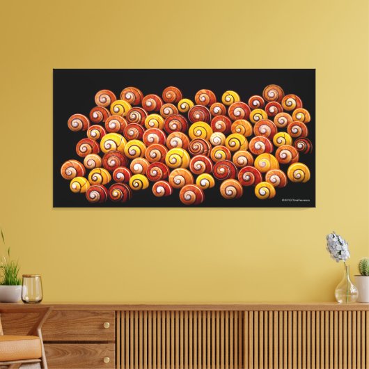 Cuban Tree Snails Leinwanddruck (Insitu (Wohnzimmer))