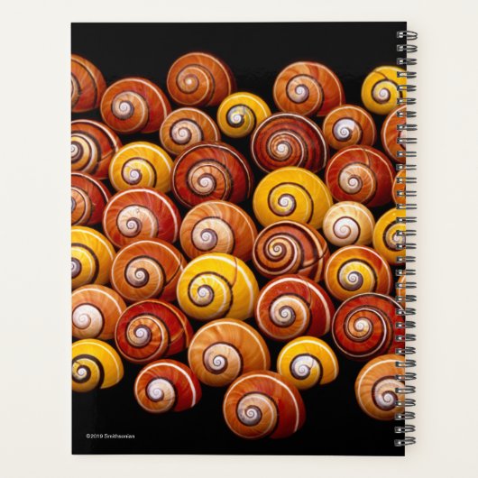 Cuban Tree Snails Planer (Rückseite)