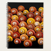 Cuban Tree Snails Planer (Vorderseite)