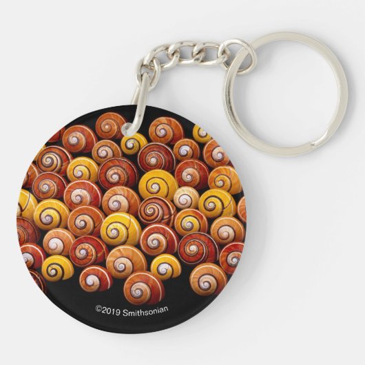 Cuban Tree Snails Schlüsselanhänger (Rückseite)