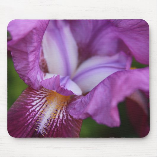 Cubby Color Mousepad (Vorne)