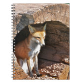 Cubbyloch Notizblock (Vorderseite)