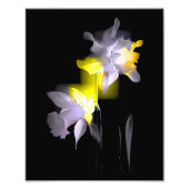 Cubist Daffodils Fotodruck (Vorne)