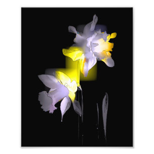 Cubist Daffodils Fotodruck