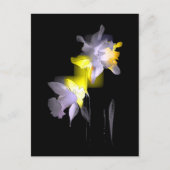 Cubist Daffodils Postkarte (Vorderseite)