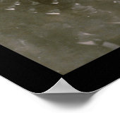 Cubs Sox Serie Foto 1906 Poster (Ecke)