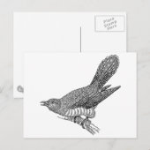 Cuckoo Bird Art Postkarte (Vorne/Hinten)