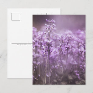 Cuckoo Blume Nature Foto Feiertagspostkarte