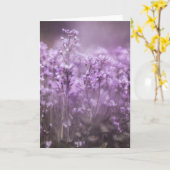 Cuckoo Blume Nature Foto Karte (Gelbe Blume)