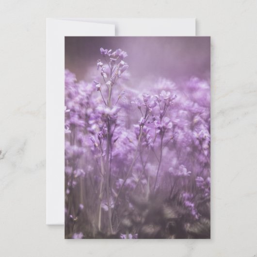 Cuckoo Blume Nature Foto-Karte (Vorderseite)