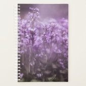 Cuckoo Blume Nature Foto Planer (Vorderseite)