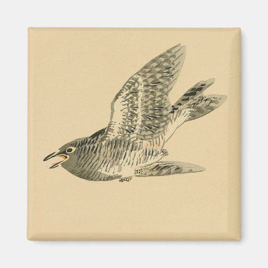 Cuckoo (japanische Kunst) (von Kono Bairei) Magnet (Vorne)