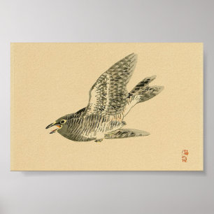 Cuckoo (japanische Kunst) (von Kono Bairei) Poster