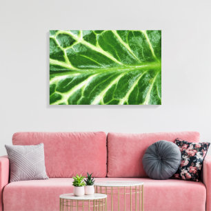 Cuckoo Pint Pflanze Leinwanddruck