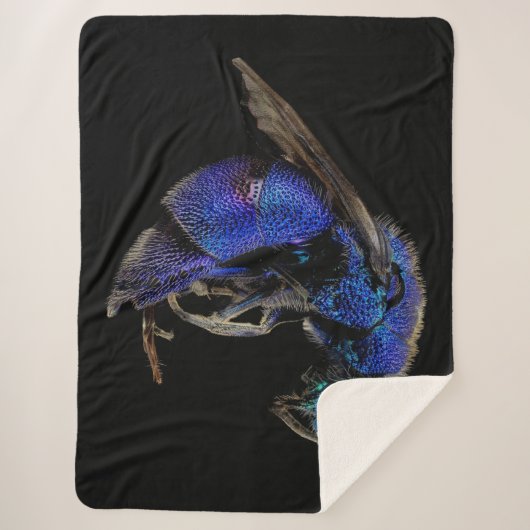 CUCKOO SHERPADECKE (Vorderseite)