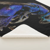 CUCKOO SHERPADECKE (3/4)