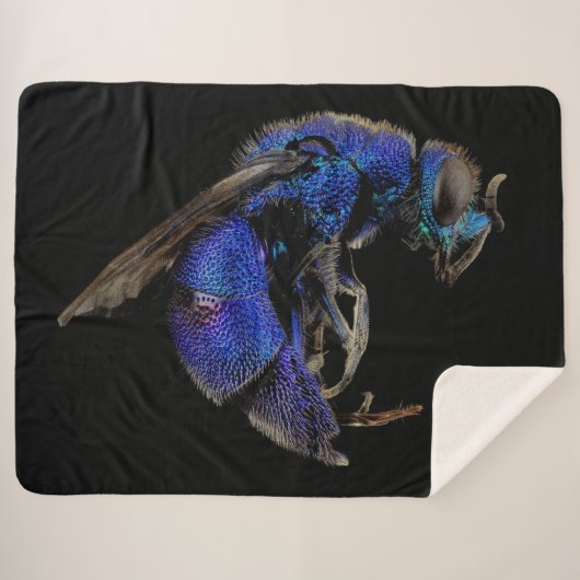 CUCKOO SHERPADECKE (Vorderseite (Horizontal))