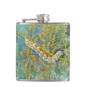 Cucullia Absinthii Wormwood Raupe Flachmann (Vorderseite)