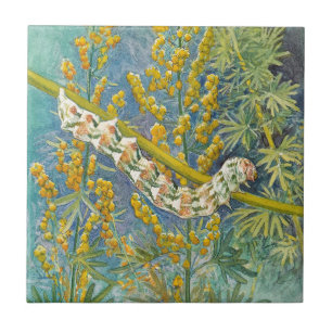 Cucullia Absinthii Wormwood Raupe Fliese