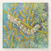 Cucullia Absinthii Wormwood Raupe Glasuntersetzer (Vorderseite)